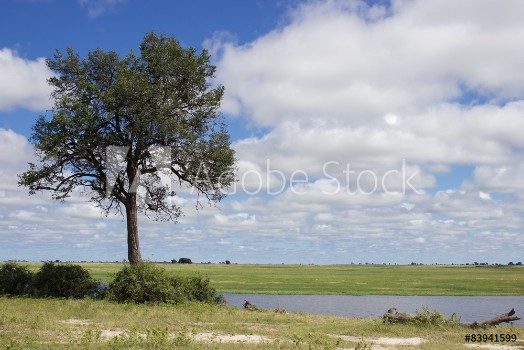 Picture of Botswana Landscape